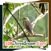 divya desam tours kerala